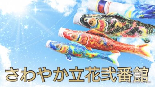 ～こいのぼり🎏～