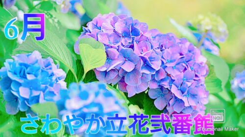 ♪カラオケ大会♪