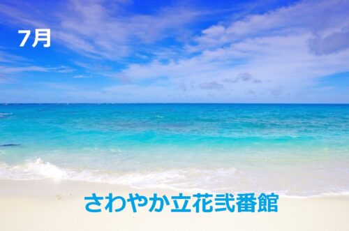 🌻今週の昼食🌻