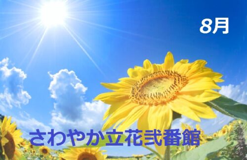 🌸立花弐番館から立花館へ🌸