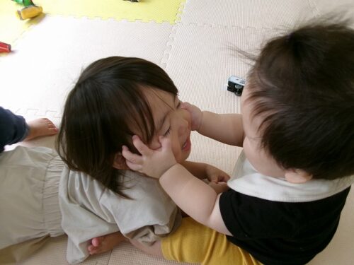 朝のひと時（パンダルーム）