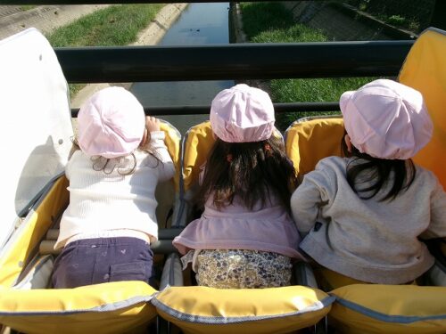 色んな風景（パンダルーム）