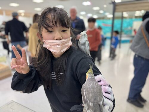 いきもの探検隊🐤