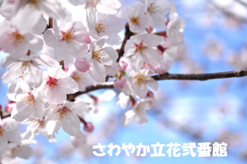 ～お城が完成✨～