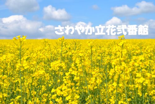 ～ドライブレクレーション🚙～