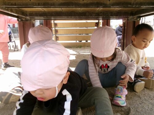 今日もポカポカ陽気（パンダルーム）