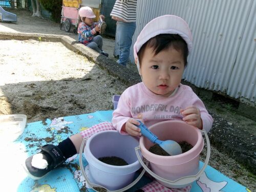 急なポカポカ陽気（パンダルーム）