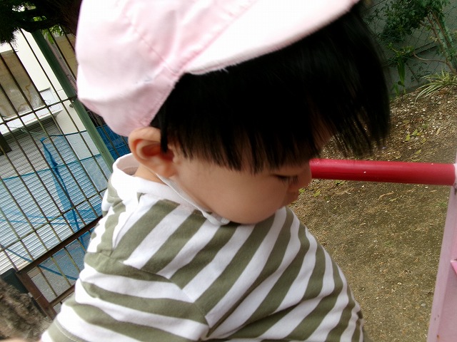 涼しい一日（パンダルーム）