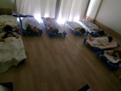 暑くなってきました！（パンダルーム）