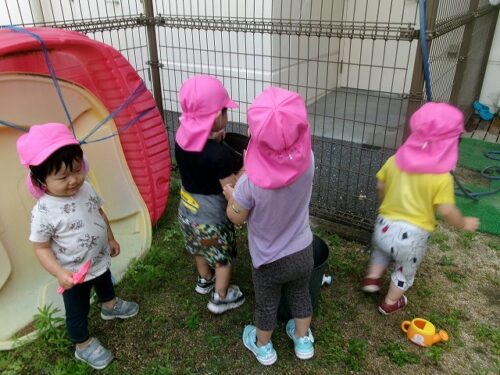 初水遊び（パンダルーム）