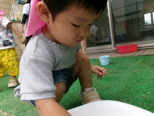 暑い…（パンダルーム）