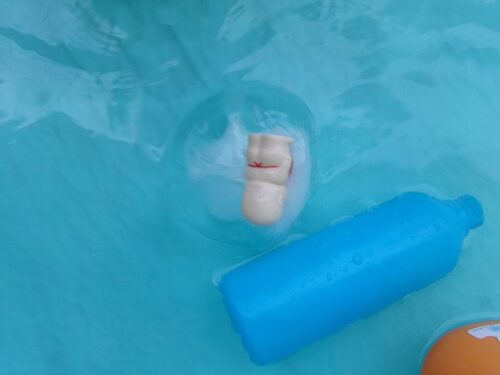 氷を投入（パンダルーム）