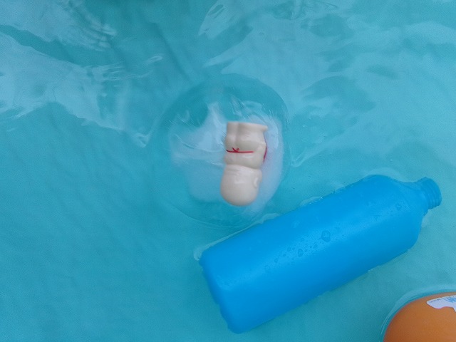 氷を投入(パンダルーム)