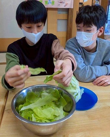 ハンバーガー作り🍔